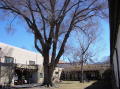 Santa Fe 10 Palace of Governors 2