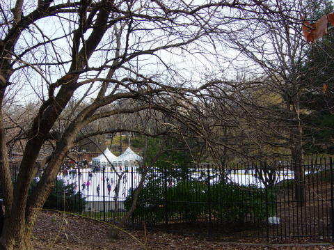 Central Park 1