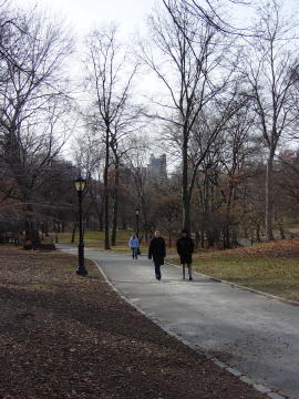 Central Park 4