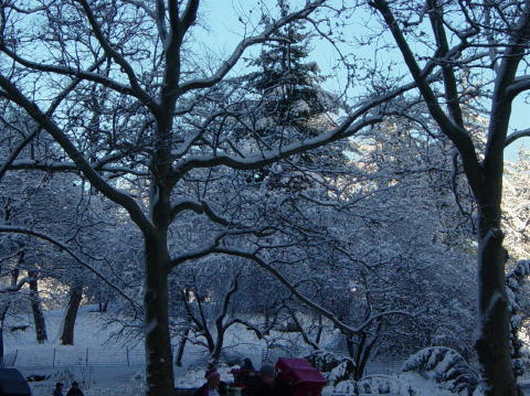 Neige a Central Park 1