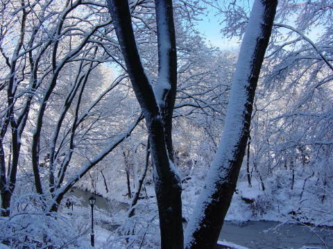 Neige a Central Park 2