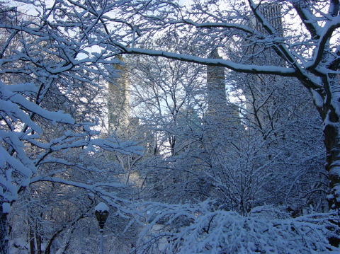 Neige a Central Park 4