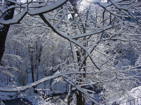 Neige a Central Park 5