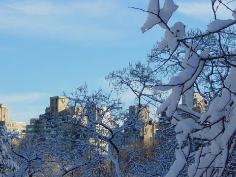 Neige a Central Park 7