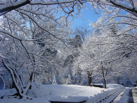 Neige a Central Park 12