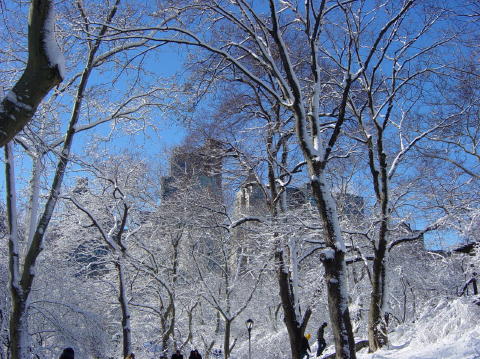 Neige a Central Park 15