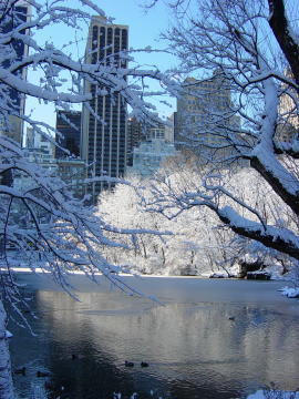 Neige a Central Park 17