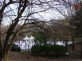 Central Park 1
