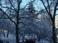 Neige a Central Park 1