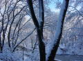 Neige a Central Park 2