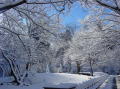 Neige a Central Park 12