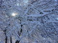 Neige a Central Park 16