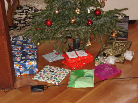 Noel 2006 007
