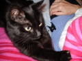 Noel 2006 001