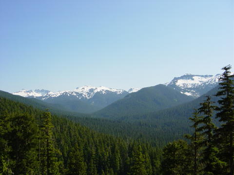 Mount Rainier 1