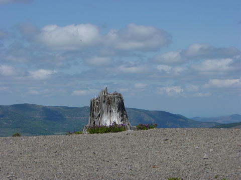 Mount St Helens 7
