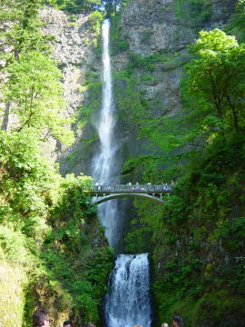 Multnomah falls 6