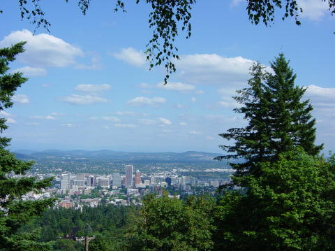 Portland rose garden 25