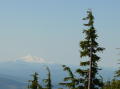 Mount Hood 1