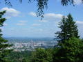 Portland rose garden 25