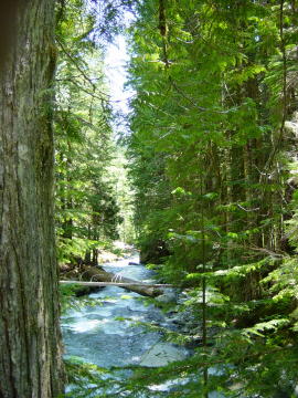Box canyon 3