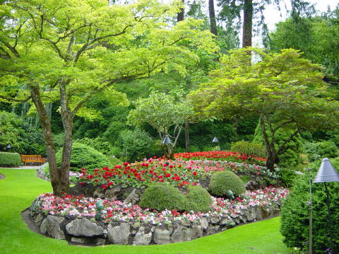 Victoria Butchart gardens 4
