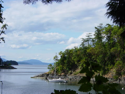 Victoria Butchart gardens 8