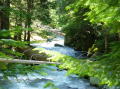 Box canyon 1
