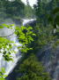 Shannon falls 1