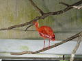 Vancouver aquarium 4