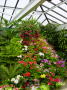 Victoria Butchart gardens 11