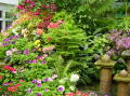 Victoria Butchart gardens 12