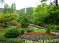 Victoria Butchart gardens 3