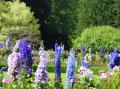 Victoria Butchart gardens 6