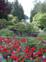 Victoria Butchart gardens 9