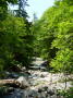 Shannon falls 2