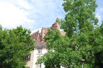 DSC_0296.JPG