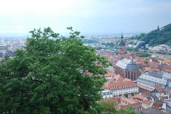 DSC_0305.JPG