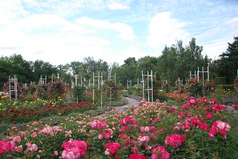DSC_0026.JPG