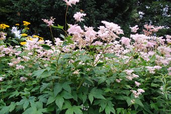 DSC_0034.JPG