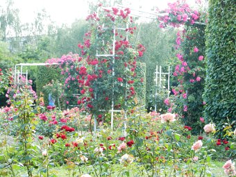 DSCN1262.JPG