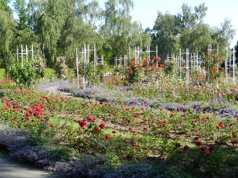 DSCN1268.JPG