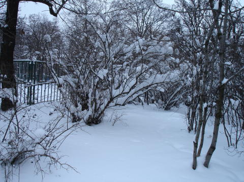 Prague 03 2006 026
