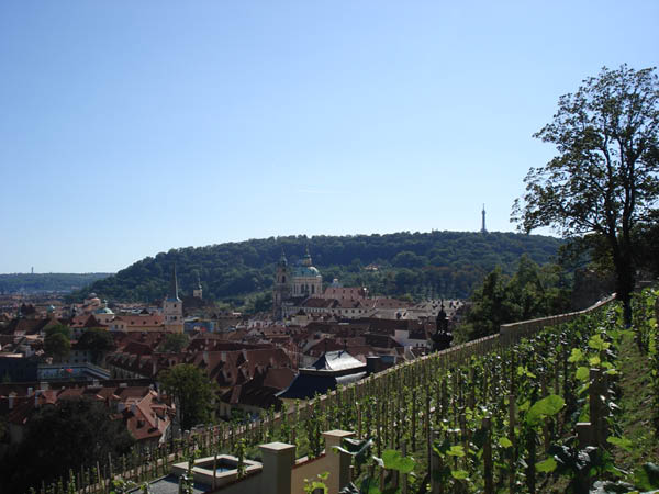 Villa Richter 5
