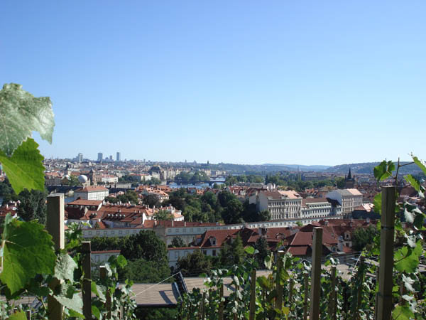 Villa Richter 6