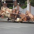 DSC00989.JPG