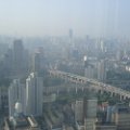 DSC01002.JPG