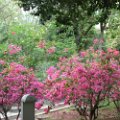 DSC01016.JPG