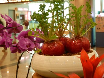 DSCN1785.JPG