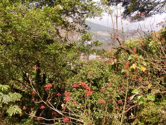 DSCN1804.JPG
